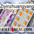 Ziyinzhuangyang new12